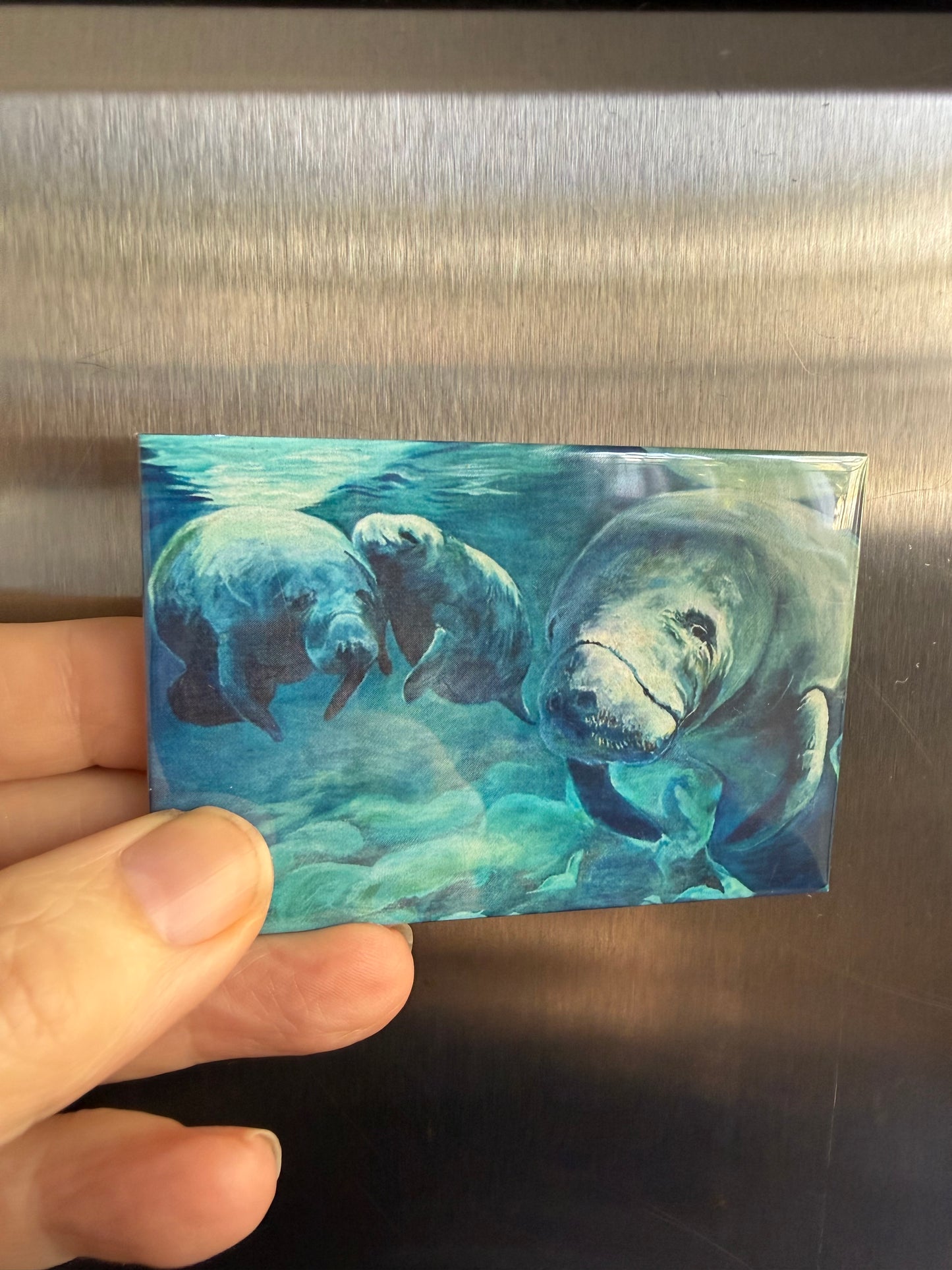 Custom Photo Magnets (2” × 3”) — Turn Your Favorite Moments Into Everyday Keepsakes
